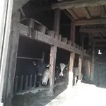 Kreuzdellenhof - Ferienunterkuenfte * Hembach