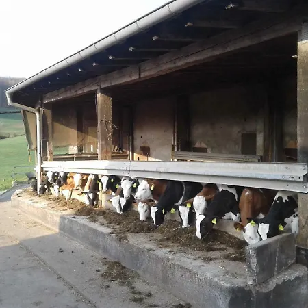 Vakantieboerderij Kreuzdellenhof - Ferienunterkuenfte Hembach