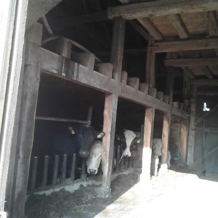 Kreuzdellenhof _ * Hembach