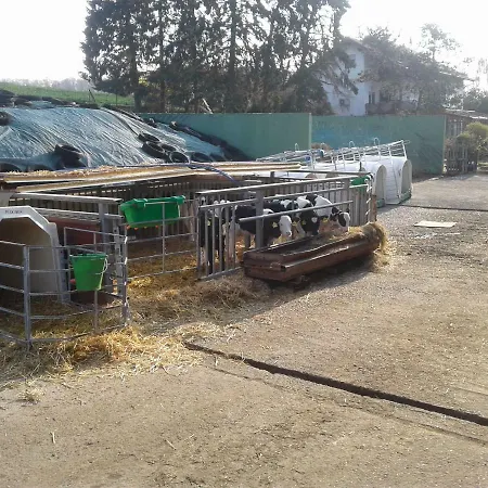 Kreuzdellenhof _ Séjour à la ferme *