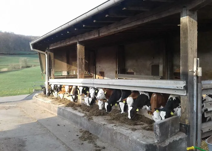 مزرعة للإقامة Kreuzdellenhof _ Hembach