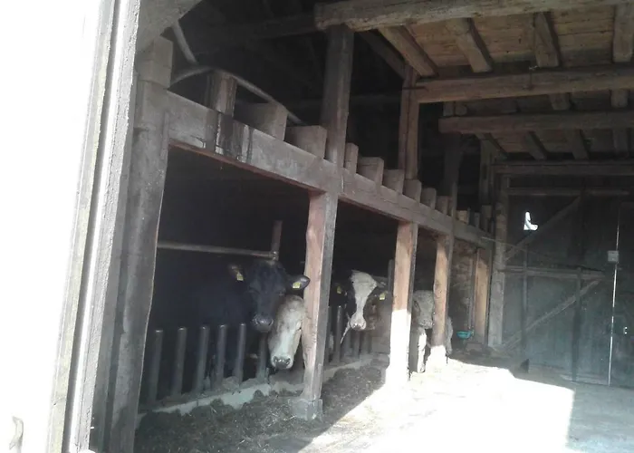 Kreuzdellenhof _ * Hembach