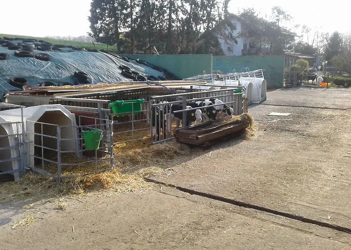 Kreuzdellenhof _ مزرعة للإقامة *